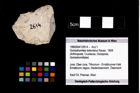 Foto (Objekt + Etikett) von Goniodromites bidentatus (Reuss, 1859)  (NHMW-GEO-1990-0041-2614)